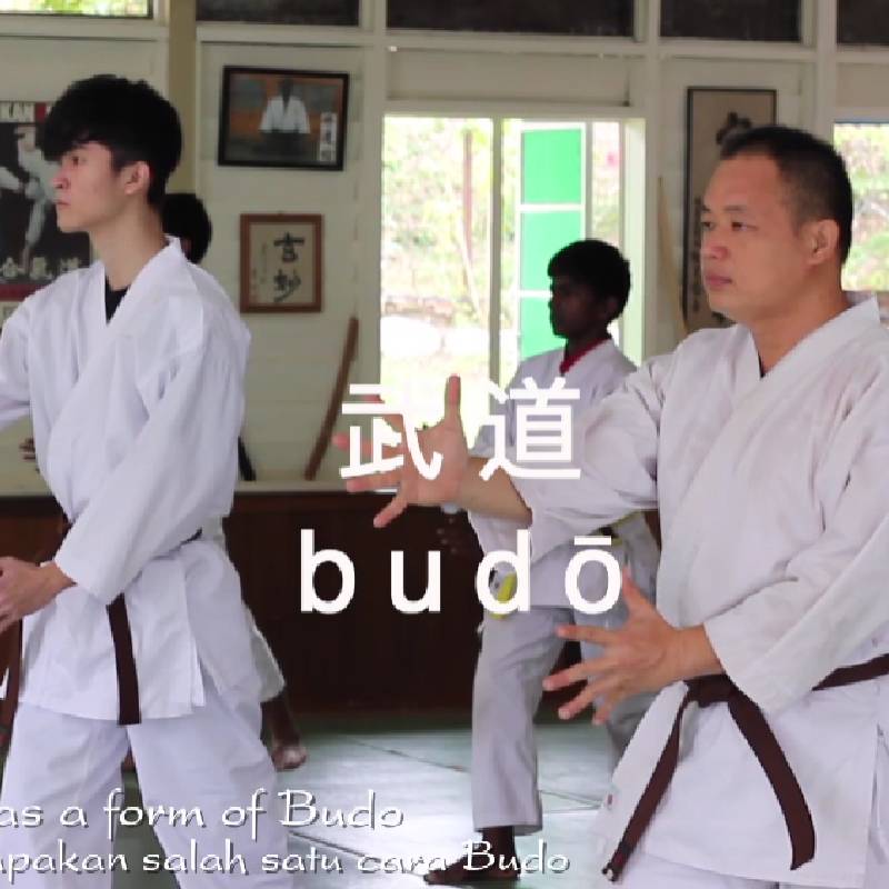 Aikido Shudokan video